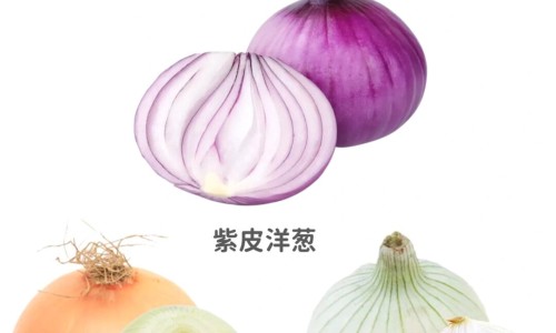 紫草油副作用有哪些专区_紫草油副作用有哪些专区_紫草油副作用网